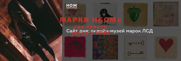 apvp Няндома