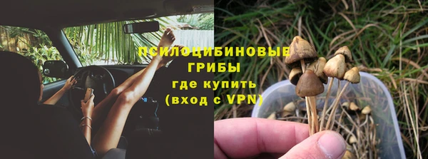ГАЛЛЮЦИНОГЕННЫЕ ГРИБЫ Новокубанск