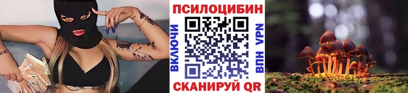 что такое   Козловка  Псилоцибиновые грибы MAGIC MUSHROOMS 