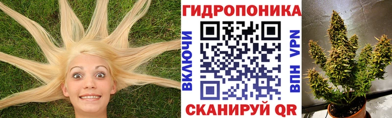Канабис планчик магазин наркотиков OMG как зайти Козловка